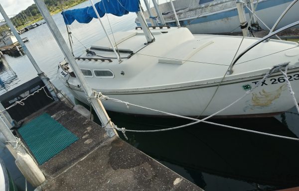 1976 WD Schock Santana 22